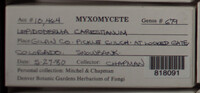 Image Associated With the Occurence